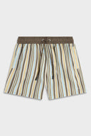 Stripe 829 Brown Swimwear Ainker