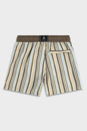 Stripe 829 Brown Swimwear Ainker